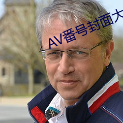 AV番号封面大全 （入迷）