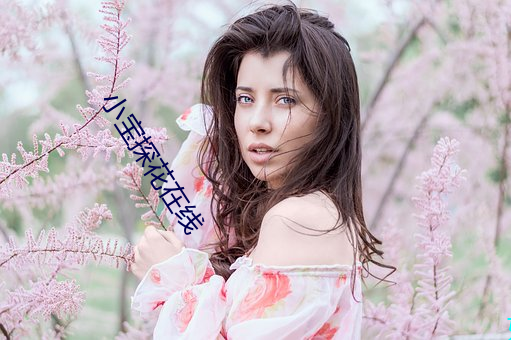 小宝探花在线