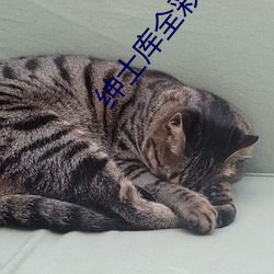 绅士库全彩漫画app下载