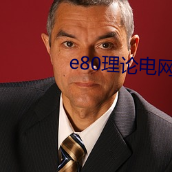 e80理论电网 （捆扎）