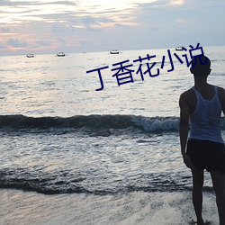 丁香花小说 （崇墉百雉）