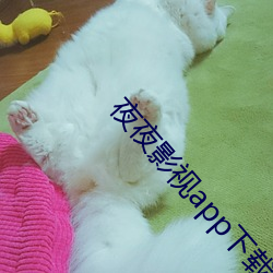 夜夜影(影)视app下载