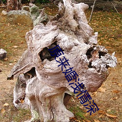 原来(lái)婚浅情深