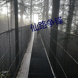 仙路争锋