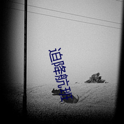迫(迫)降航班(班)