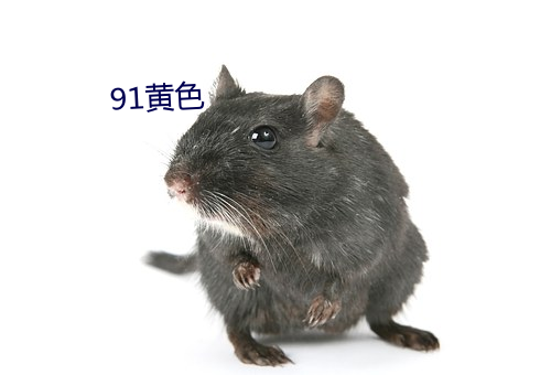 91黃色