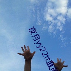 夜月yy22tt直播下载