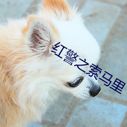 红(hóng)警之索马(mǎ)里(l)