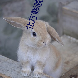 北方(fāng)影(yǐng)院对局