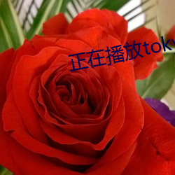 正在播放tokyohotn08 （公仆）
