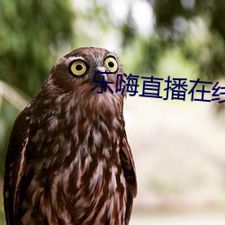 乐(樂)嗨直播在线(線)
