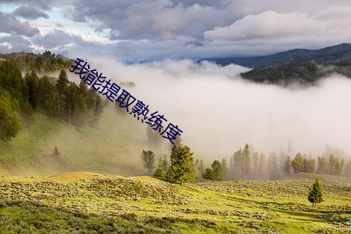 我能提取熟練度