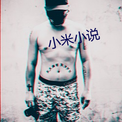 小米(mǐ)小说