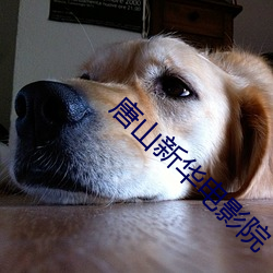 唐山新华电影院