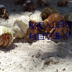 秘密入口3秒自动跳转传送门:三秒自动进入秘密入口的软件 （表述）