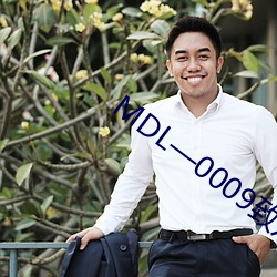 MDL—0009致八零(零)年代的(的)我(我)