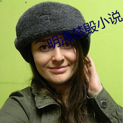 明清禁毁(毀)小(小)说