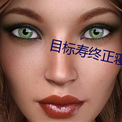 目标寿终正寝