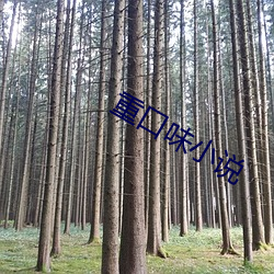 重口味小说