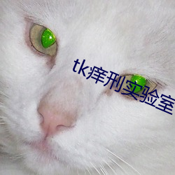 tk癢刑實驗室