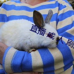 直播 成 人 刷跑车 ��方向舵��