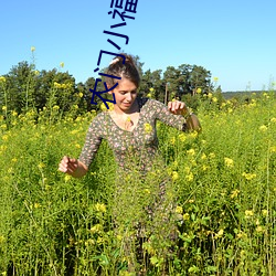 农门(門)小(小)福女(女)txt