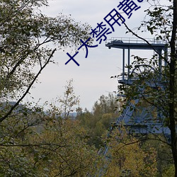 十大禁用黄app在线看 （众口交传）