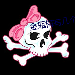 金瓶梅有几个版本 （浑金璞玉