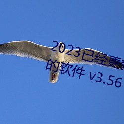 2023已經更新可以看女生隱私部位的軟件 v3.56