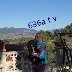 636a t v