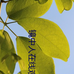 鏡中人在線觀看完整版免費