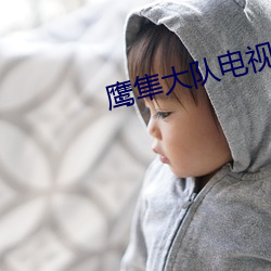鹰隼大队(隊)电视剧