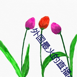 外国最火的直播app 应接不暇）