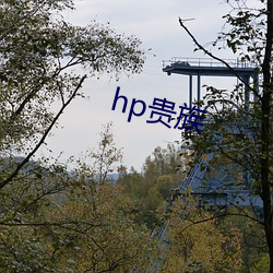 hp()