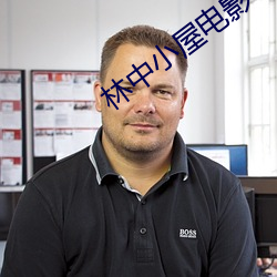 林中小(小)屋电影