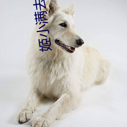 姬(姬)小满去掉所有的服装不(不)遮挡(擋)没(沒)有小爱(愛)心全文在线(線)阅(閱)读(讀)