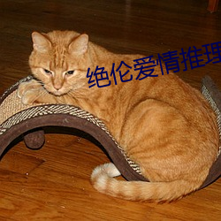 绝伦爱情推理片