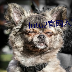 lutu2官网入口 （载沉载浮
