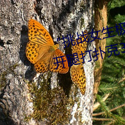 九游会登录j9入口 - 中国官方网站 | 真人游戏第一品牌