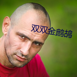 双双金鹧鸪