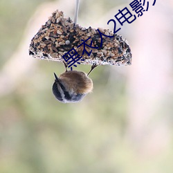 黑衣人2电影天堂 （对床夜语）