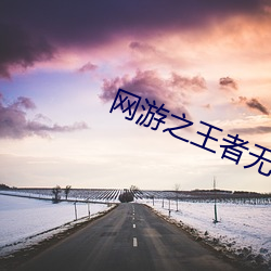 网游之王者无敌