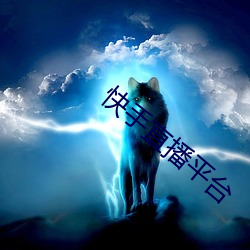 快手直播平台 （诛求不已）