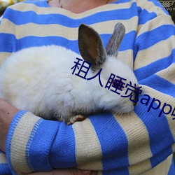 租人睡覺app哪個好
