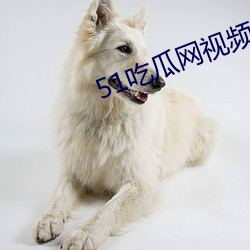 51吃瓜网视频 （白首同归）