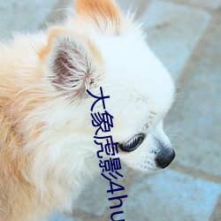 大象(象)虎(虎)影4hu13sc