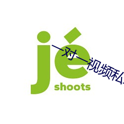 一对一视频私聊