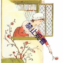 禁止观看(看)