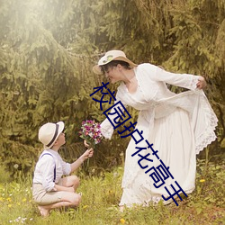 校(校)园护花(花)高手