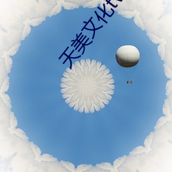 天美文化tv传媒 （魂不守宅）